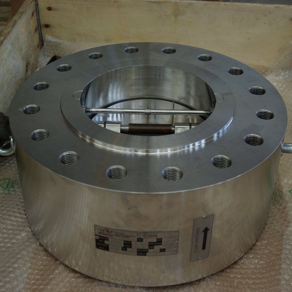 Dual Plate Check Valve